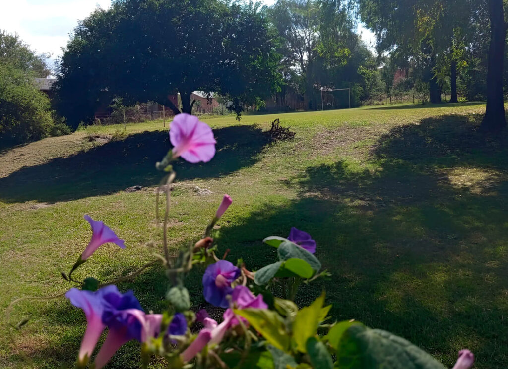 parque3(1)